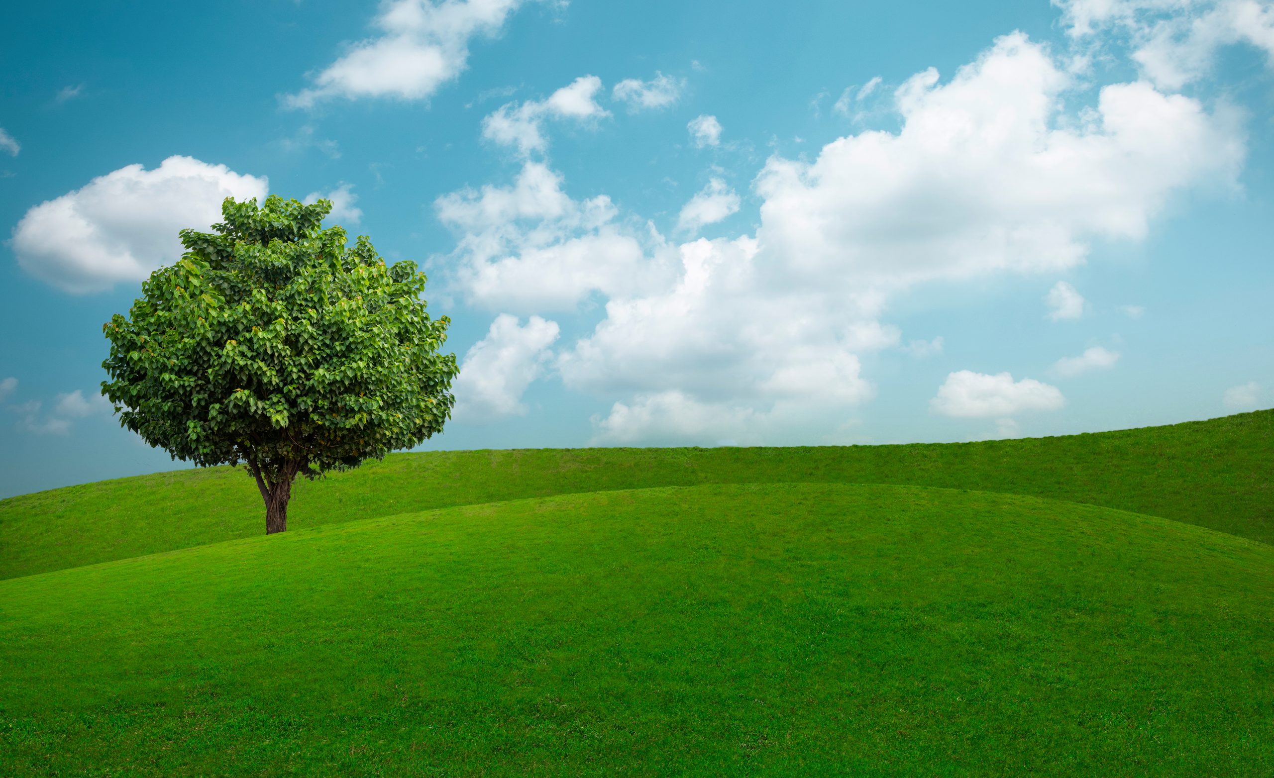 How to Protect Against the Invisible Decline
