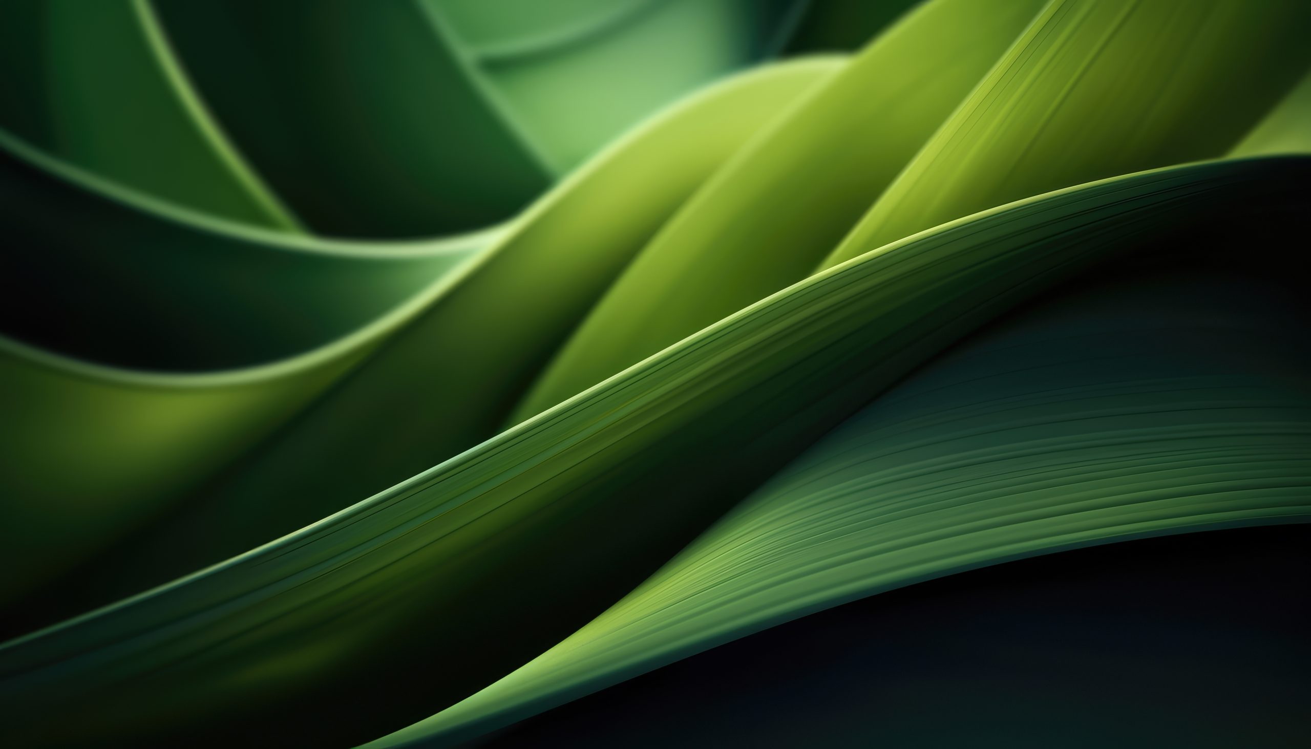 Sustainable growth in digital marketing comes from having a plan, not from one-off campaigns